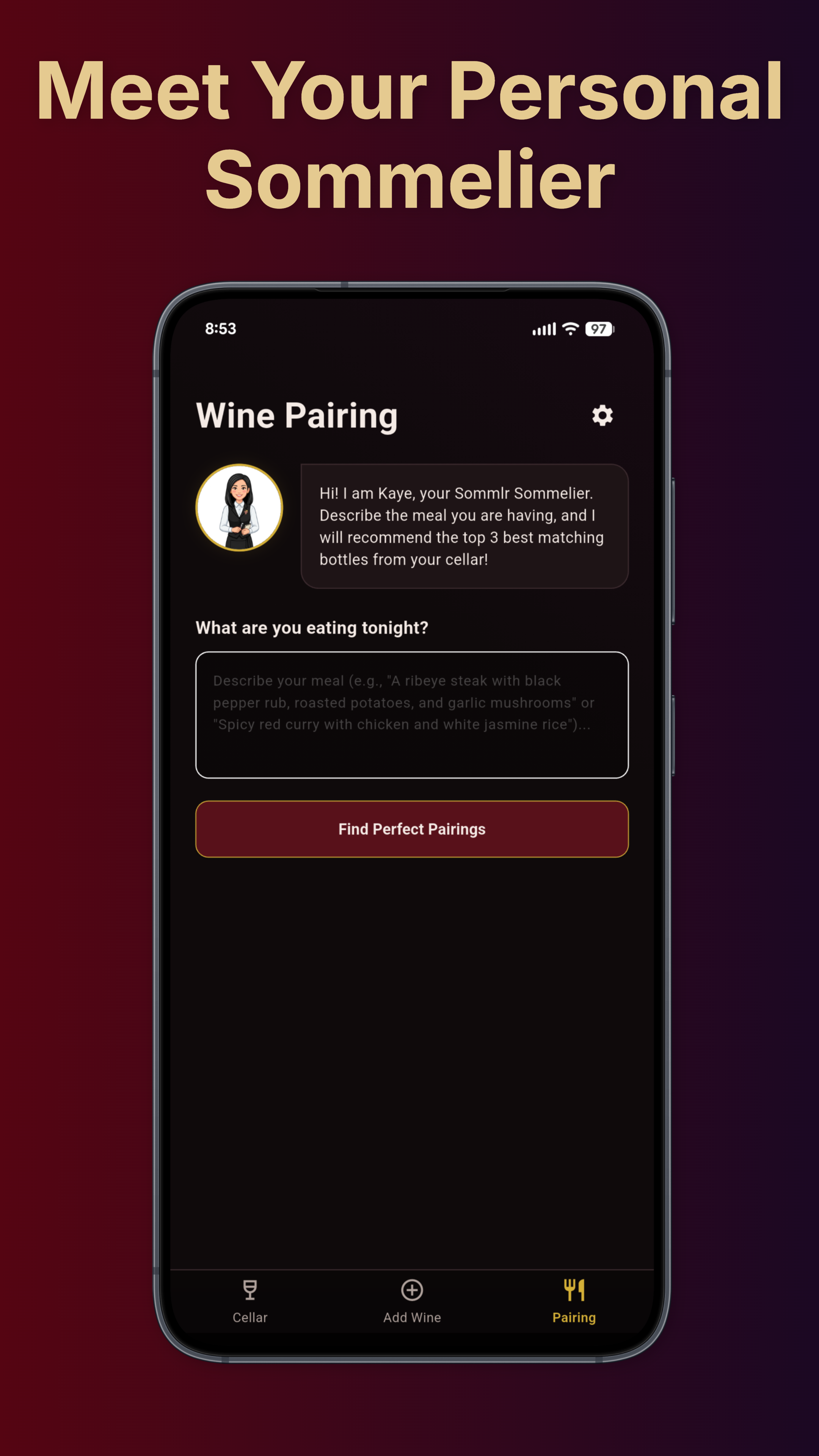 Sommlr Food Pairing Chat Screen
